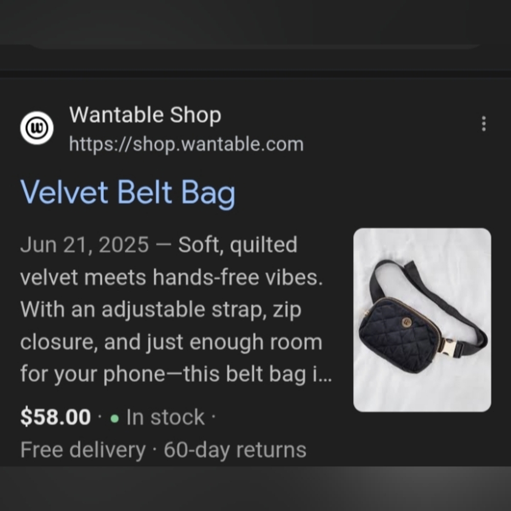 WANTABLE Black Quilted Velvet Belt Bag